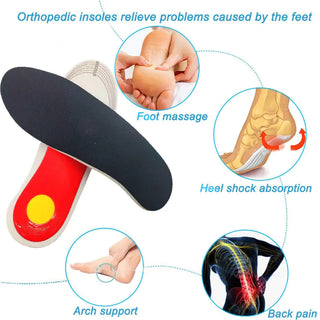 Shoe Insoles & Orthotics