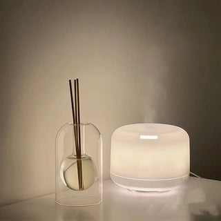 Glass Diffuser Bottles