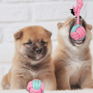 Puppy Playtime Perfection: Discover the Ultimate Toys for Your Furry Friend!