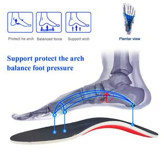 Shoe Insoles & Orthotics